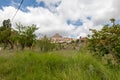 Vegetation adjoining a typical mountain village