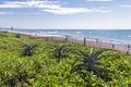 Vegetation and Aloe Plants Against Beach Ocean Blue Sky Royalty Free Stock Photo