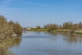 Vegetation along the course of the Po river