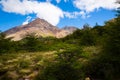 Vegetation on Andes foothills and slopes