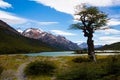 Vegetation on Andes foothills and slopes