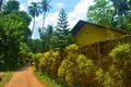 Vegetation and architecture of Induruwa village on Sri Lanka island