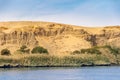 Vegetation on the banks of Nile River in Egypt Royalty Free Stock Photo