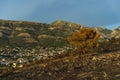 After a vegetation fire in Montenegro