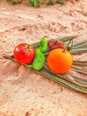 Vegetation foods and fruits in sand of desert