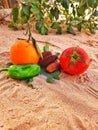 Vegetation foods and healthy fruits orange and dates palms