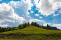 Mountain plateau vegetation on a summer day