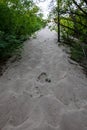 Vegetation grow on sand at West Beach Dune Succession Trail, Indiana Dunes National Park lake shore in Summer Royalty Free Stock Photo