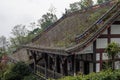 Vegetation growing on the roof of an old building in the mountain Royalty Free Stock Photo