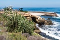 Vegetation on Hillside Overlooking La Jolla Children`s Pool Royalty Free Stock Photo