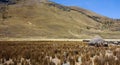 Vegetation at Huascaran National Park, in Huaraz