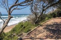 Vegetation Lined and Covered Coastal Paved Beach Walkway Royalty Free Stock Photo