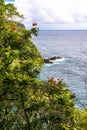Vegetation on the Maui coast, Hawaii