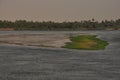 Vegetation by the Nile Royalty Free Stock Photo