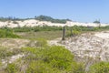 Vegetation over dunes at Itapeva Park in Torres beach