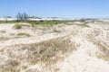 Vegetation over dunes at Itapeva Park in Torres beach