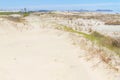 Vegetation over dunes at Itapeva Park in Torres beach