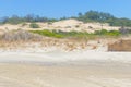 Vegetation over dunes at Itapeva Park in Torres beach