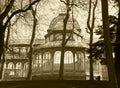 Vegetation in a park with antique metallic building