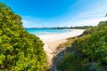 Vegetation by Rena Bianca beach in Costa Smeralda Royalty Free Stock Photo