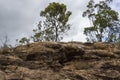 Vegetation On A Rocky Hillside During Drought Conditions