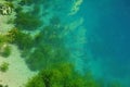 Karstic spring with turquoise water