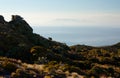 Vegetation at the top of the Humpridge Walk and a view at the Stewart Island / Rakiura in the distance in Fiordland / Southland in