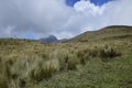 vegetation on the trail to the mountains in the vicinity Rucu Pichincha volcano, Andes mountains, Quito
