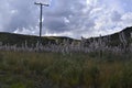 Vegetation under cloudy sky, mountains in the background, electric pole. Royalty Free Stock Photo