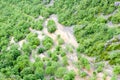 vegetation in Verdon Gorge, Provence, France Royalty Free Stock Photo