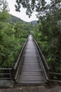 The Vegetation Walkway Royalty Free Stock Photo