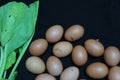 vegeteble coler egg background fesh