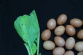 vegeteble coler egg background fesh