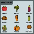 Vegetebles color outline isometric icons