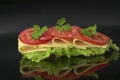 Vegeterian sandwich with cheese, tomatoes, lettuce