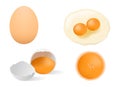 Vegg yolk / 4 type of egg