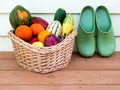 Veggie basket with garden clogs Royalty Free Stock Photo