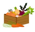 Veggie box with vegetables. Hand drawn healthy eating products. Vegans and vegetarians food, potato, lettuce, beets