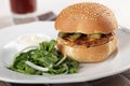 Veggie burger Royalty Free Stock Photo