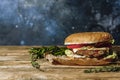 Veggie burger with falafel. Vegetarian meat, veg hamburger, vegetable cutlet background