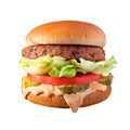 Veggie Burger Isolated on a White Background Royalty Free Stock Photo