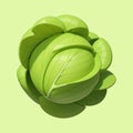 Veggie Delight: Cabbage Graphic Illustration