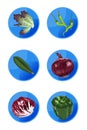 Veggie Icons