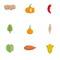 Veggie icons set, flat style