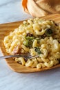 Veggie Mac N Cheese Royalty Free Stock Photo
