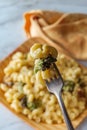 Veggie Mac N Cheese Royalty Free Stock Photo