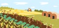 Veggies growth in farmland vector concept