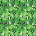 Seamless vector pattern background of leafy green vegetables made of simple illustrations.