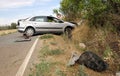 Vehicle collided after leaving the road in a traffic accident.