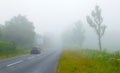 Vehicle on the foggy morning in Devon